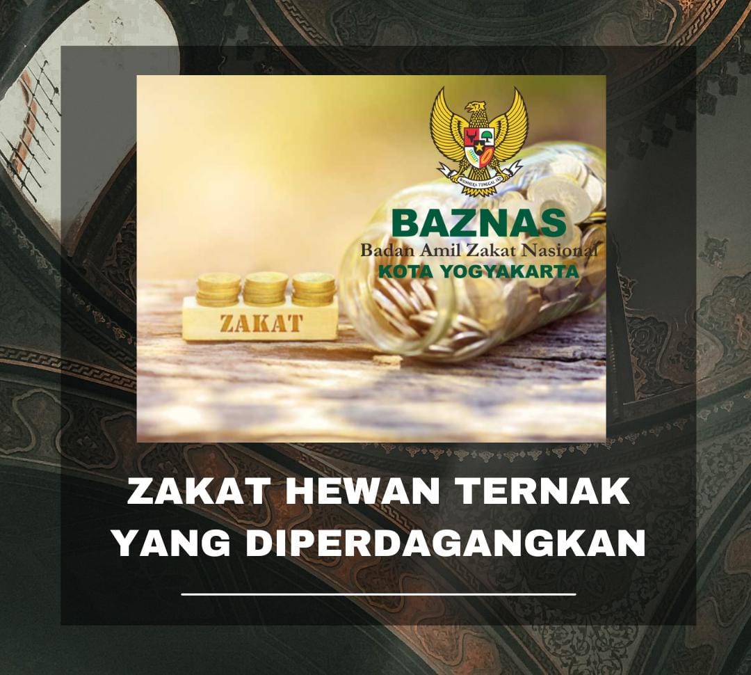 ZAKAT HEWAN TERNAK YANG DIPERDAGANGKAN